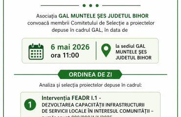1 Anunt convocare Comitet Selectie_6 mai 2026 (1)