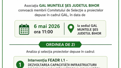 1 Anunt convocare Comitet Selectie_6 mai 2026 (1)