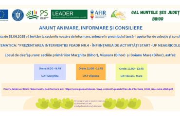 25.06.2025_Marghita_Viisoara_Boianu Mare