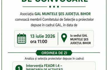 Anunt convocare comitet-13iulie2026