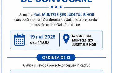Convocare comitet 19 MAI 2026