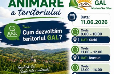 anunt animare 11.06.2026